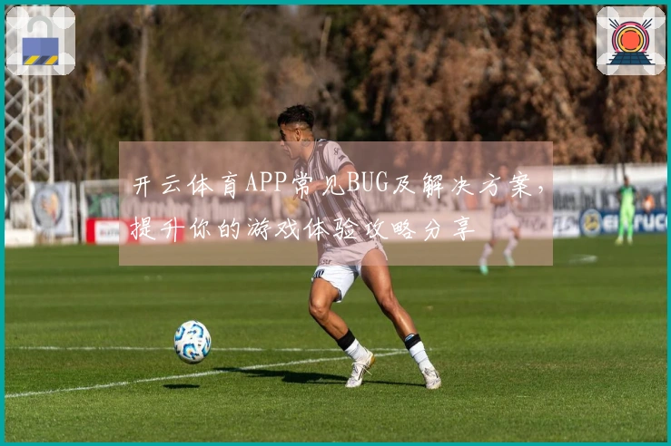 开云体育APP常见BUG及解决方案，提升你的游戏体验攻略分享