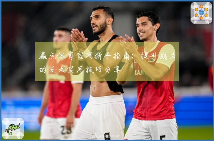 赢点体育官网新手指南：提升战力的五大实用技巧分享