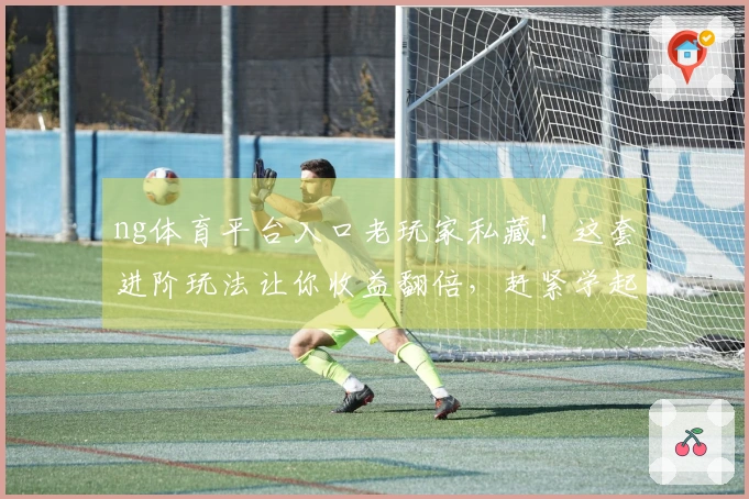 ng体育平台入口老玩家私藏！这套进阶玩法让你收益翻倍，赶紧学起来！