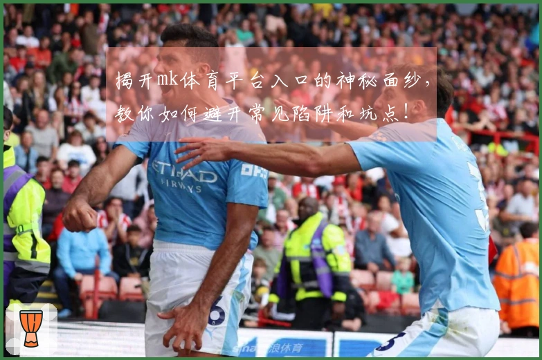 揭开mk体育平台入口的神秘面纱，教你如何避开常见陷阱和坑点！