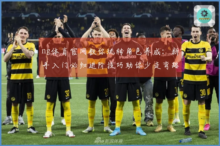 ng体育官网教你玩转角色养成：新手入门必知进阶技巧助你少走弯路